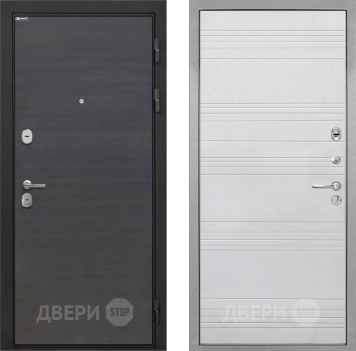Входная металлическая Дверь Интекрон (INTECRON) Гектор Эковенге ФЛ-316 Белый ясень в Апрелевке